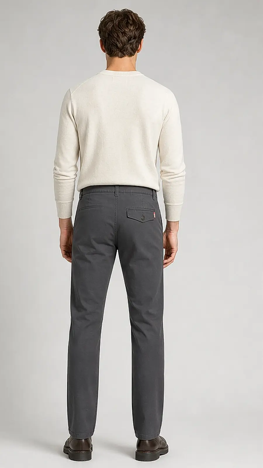 Cotton Canvas Gray Peach Finish Regular Fit Casual Pant